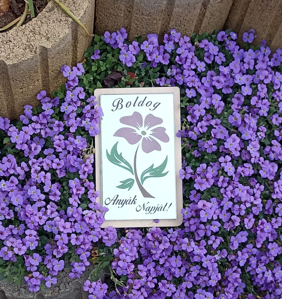 Festett tükör – 4000 Ft