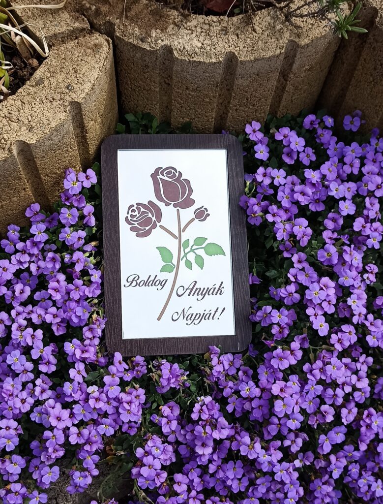 Festett tükör – 4000 Ft